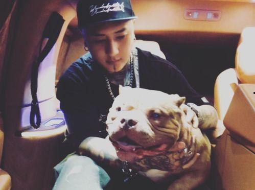 二驴和舒克最新爆料