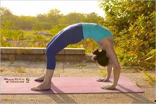 功夫瑜伽在线观看免费,免费在线观看,畅享东方传奇魅力 第1张 功夫瑜伽在线观看免费,免费在线观看,畅享东方传奇魅力 第1张