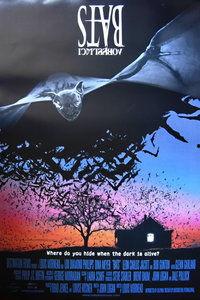 在线观看 蝙蝠,揭秘蝙蝠的神秘世界